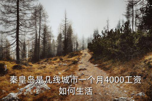 秦皇島服務員工資多少,一個月工資多少