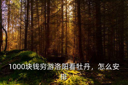 洛陽牡丹最貴多少錢,1000塊錢窮游洛陽看牡丹