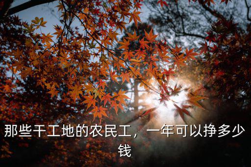 唐山農(nóng)民工工資多少錢一個月,農(nóng)民工工資一個月多少錢