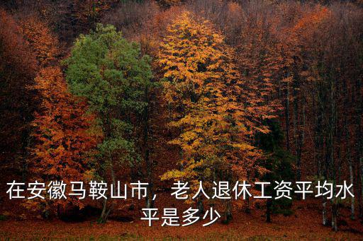 在安徽馬鞍山市，老人退休工資平均水平是多少