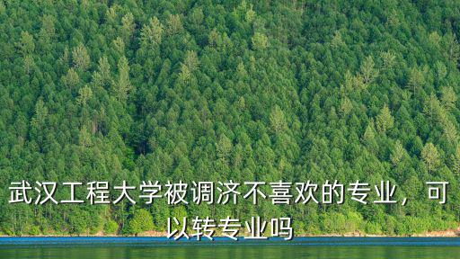武漢工程大學被調濟不喜歡的專業，可以轉專業嗎
