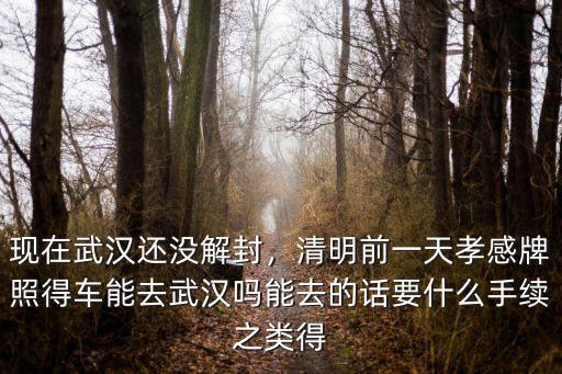 孝感的牌照在武漢去怎么要換呢,孝感的駕駛證如何換成武漢的