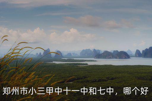 鄭州市小三甲中十一中和七中，哪個好