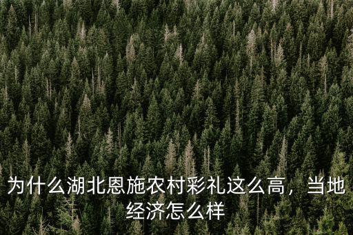 為什么湖北恩施農村彩禮這么高，當地經濟怎么樣