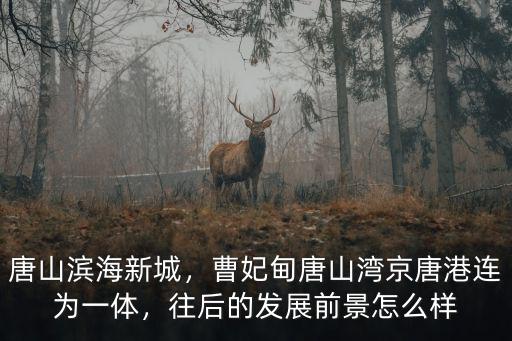 唐山曹妃甸新城門面房多少錢,曹妃甸作為唐山的大學城