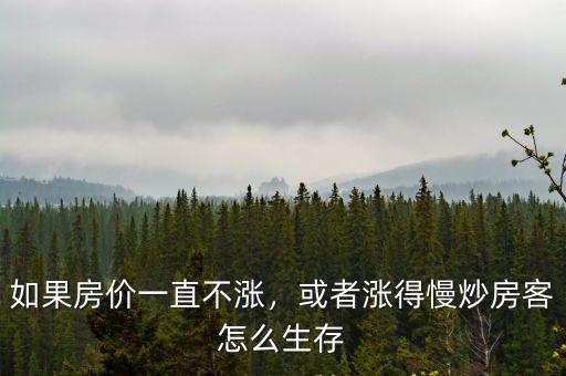 恩施房?jī)r(jià)一直漲工資不漲怎么辦,如果房?jī)r(jià)一直不漲