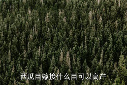 西瓜苗嫁接什么苗可以高產