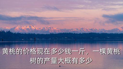 黃桃的價格現在多少錢一斤，一棵黃桃樹的產量大概有多少