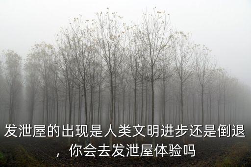 發泄屋的出現是人類文明進步還是倒退，你會去發泄屋體驗嗎