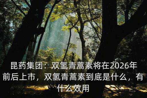 昆藥集團：雙氫青蒿素將在2026年前后上市，雙氫青蒿素到底是什么，有什么效用