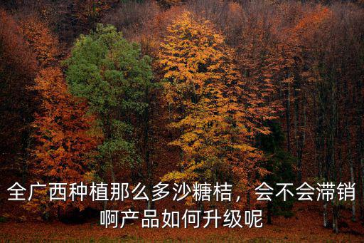 全廣西種植那么多沙糖桔，會不會滯銷啊產品如何升級呢