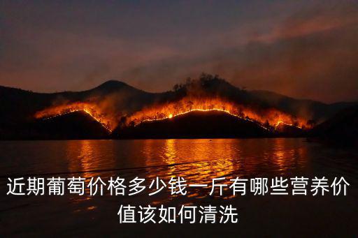 保定巨峰葡萄多少錢一斤,近期葡萄價格多少錢一斤