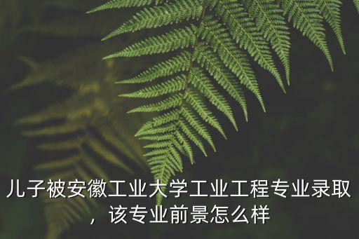 兒子被安徽工業(yè)大學工業(yè)工程專業(yè)錄取，該專業(yè)前景怎么樣