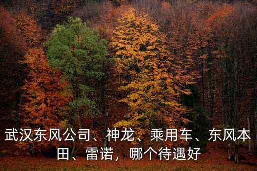 武漢開(kāi)發(fā)區(qū)神龍汽車公司怎么樣,武漢經(jīng)濟(jì)開(kāi)發(fā)區(qū)怎么樣