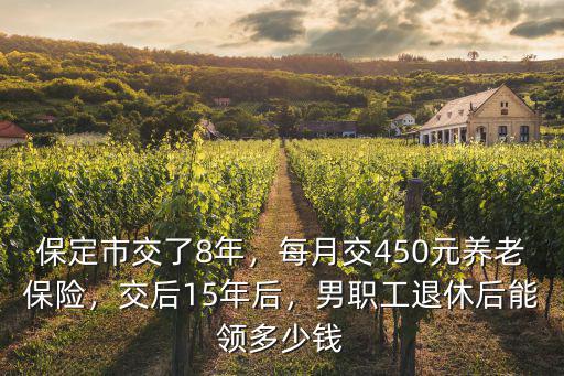 保定養老保險繳費15年 退休領多少,每月交450元養老保險