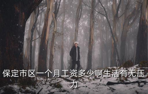 保定煙廠工資多少一個月,保定市區一個月工資多少啊