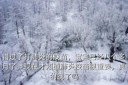 現(xiàn)在成都市哪里能打肺炎疫苗,錯(cuò)過了打肺炎的疫苗