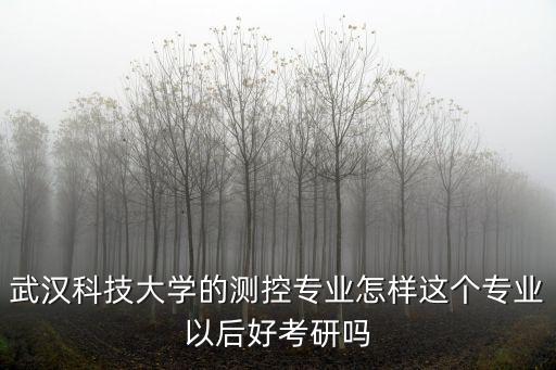武漢科技大學(xué)會(huì)計(jì)專業(yè)研究生怎么樣啊,武漢科技大學(xué)的測(cè)控專業(yè)怎樣