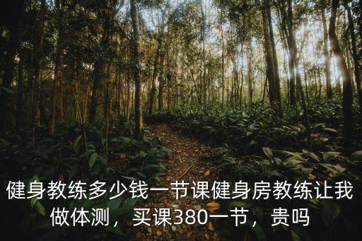 健身教練多少錢一節課健身房教練讓我做體測，買課380一節，貴嗎