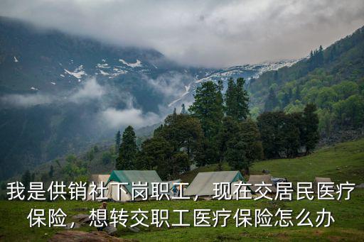 宣城市醫(yī)療保險交多少年,現(xiàn)在交居民醫(yī)療保險
