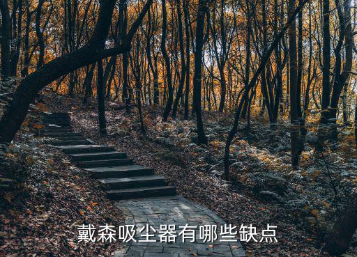 戴森吸塵器鄭州哪里有賣,戴森吸塵器有哪些缺點