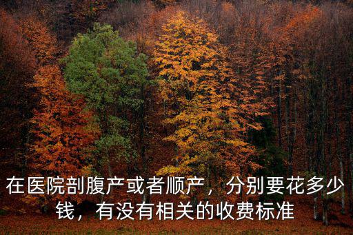 在醫院剖腹產或者順產，分別要花多少錢，有沒有相關的收費標準