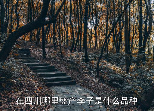 成都周邊哪里產李子,成都周邊哪有李子摘