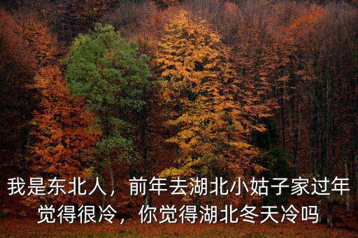 家里是湖北的 冬天太冷了怎么辦,你覺得湖北冬天冷嗎