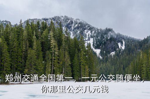鄭州交通全國第一，一元公交隨便坐，你那里公交幾元錢