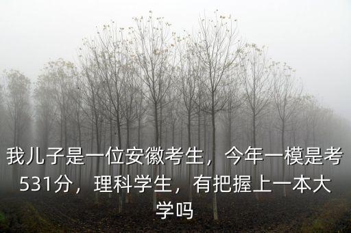 我兒子是一位安徽考生，今年一模是考531分，理科學生，有把握上一本大學嗎