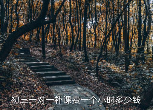 初三一對一補課費一個小時多少錢