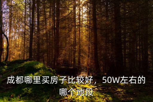 成都哪里的婚房最好,成都哪里買房子比較好