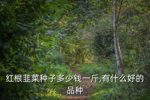 紅根韭菜種子多少錢一斤,有什么好的品種