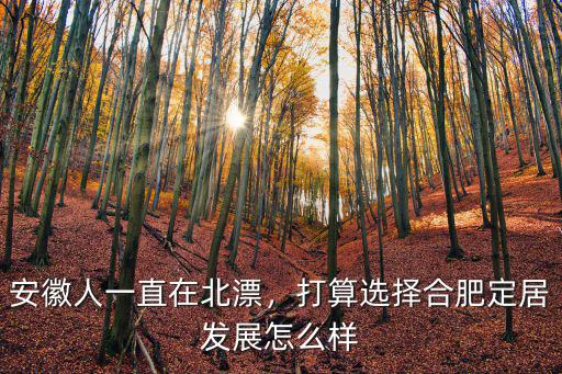 安徽人一直在北漂，打算選擇合肥定居發展怎么樣