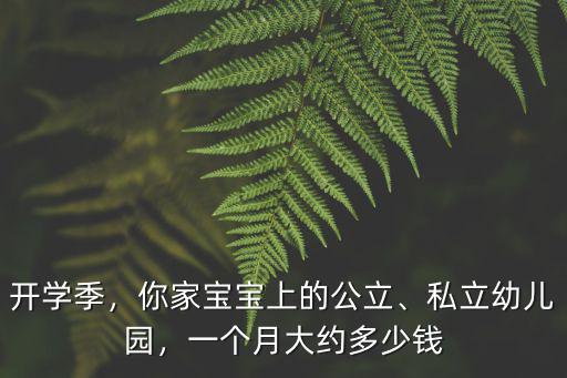 張家口幼兒園多少錢一個月多少錢,一個月大約多少錢