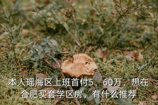 合肥首付60萬多少平,首付50萬到60萬之間