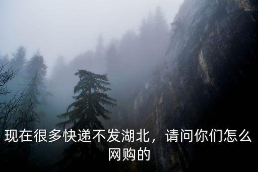 現在很多快遞不發湖北，請問你們怎么網購的