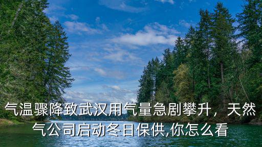 氣溫驟降致武漢用氣量急劇攀升，天然氣公司啟動冬日保供,你怎么看
