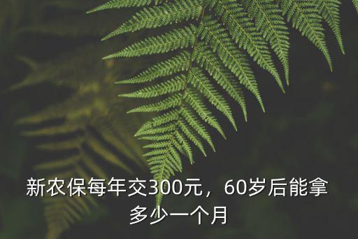 淮北市60歲新農保能領多少錢,新農保每年交300元