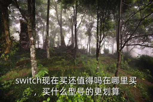 switch現(xiàn)在買還值得嗎在哪里買，買什么型號的更劃算