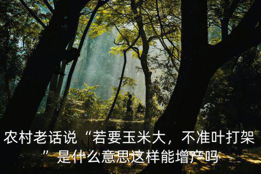 周口人怎么說玉米,農村老話說若要玉米大