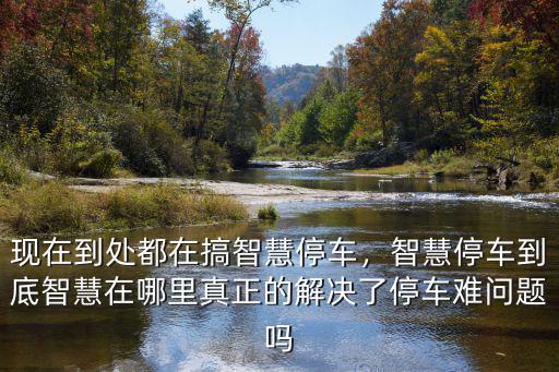 現在到處都在搞智慧停車，智慧停車到底智慧在哪里真正的解決了停車難問題嗎