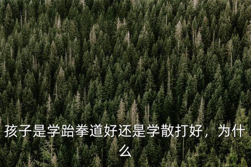 孩子是學跆拳道好還是學散打好，為什么