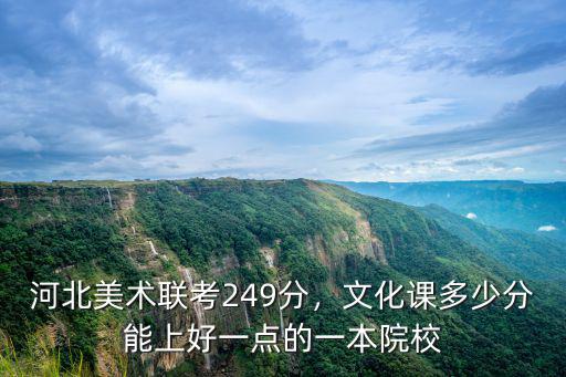 河北美術(shù)學(xué)院表演多少分,河北美術(shù)聯(lián)考249分
