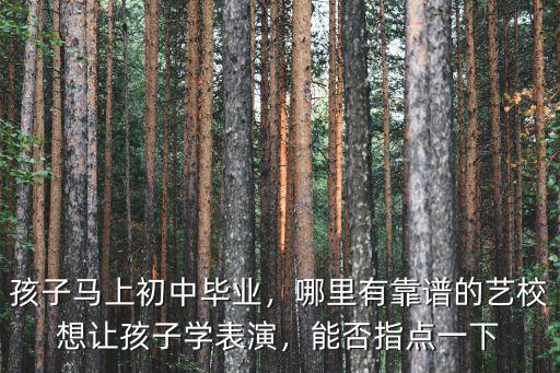 眉山哪里學(xué)表演的,想讓孩子學(xué)表演