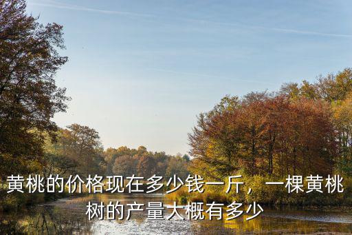 蚌埠黃桃批發價格是多少,黃桃的價格現在多少錢一斤