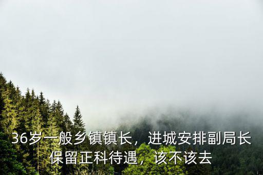 滁州市鄉(xiāng)鎮(zhèn)鎮(zhèn)長退休工資是多少,鄉(xiāng)鎮(zhèn)政府工作的工資是多少