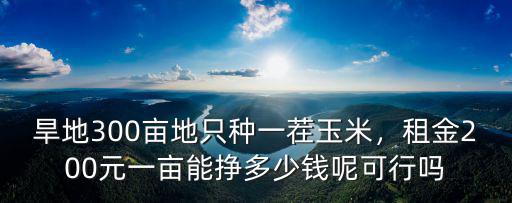 旱地300畝地只種一茬玉米，租金200元一畝能掙多少錢呢可行嗎