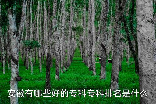 安徽的大專有多少所,安徽有哪些好的專科學校