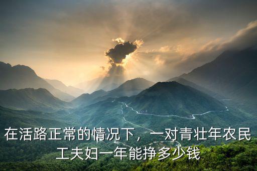 在活路正常的情況下，一對青壯年農民工夫婦一年能掙多少錢